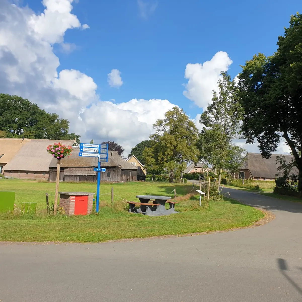 de omgeving